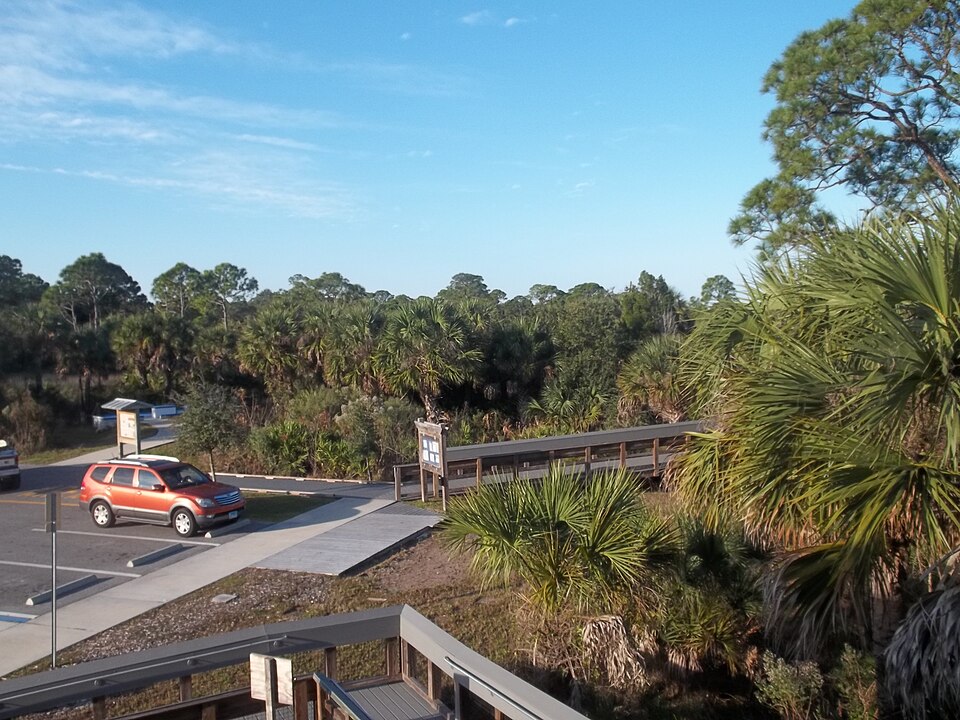 Werner-Boyce Salt Springs State Park near Bayonet Point