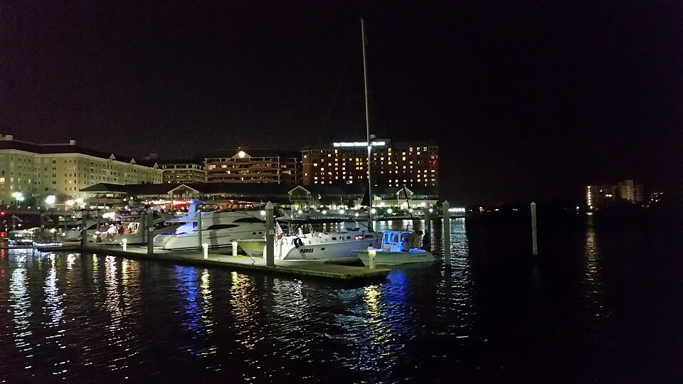 The Pointe at Harbour Island and Westin Tampa Waterside at night