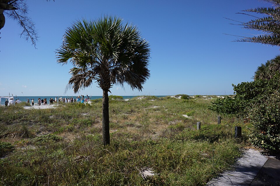 Beach access and shoreline in Indian Rocks Beach, Florida