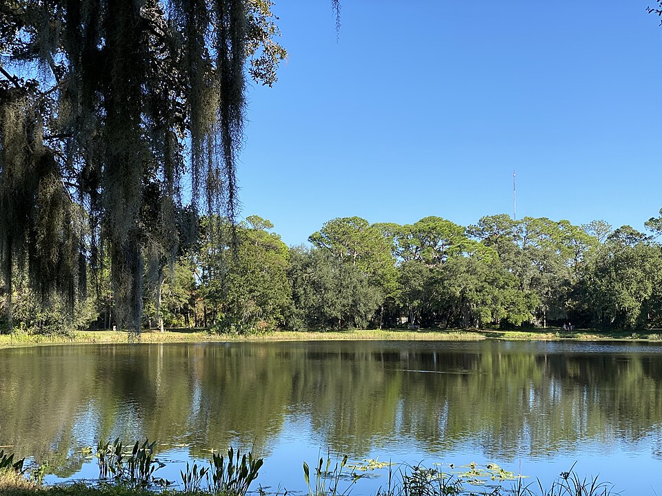 Water and trees at Lake Seminole Park, Florida