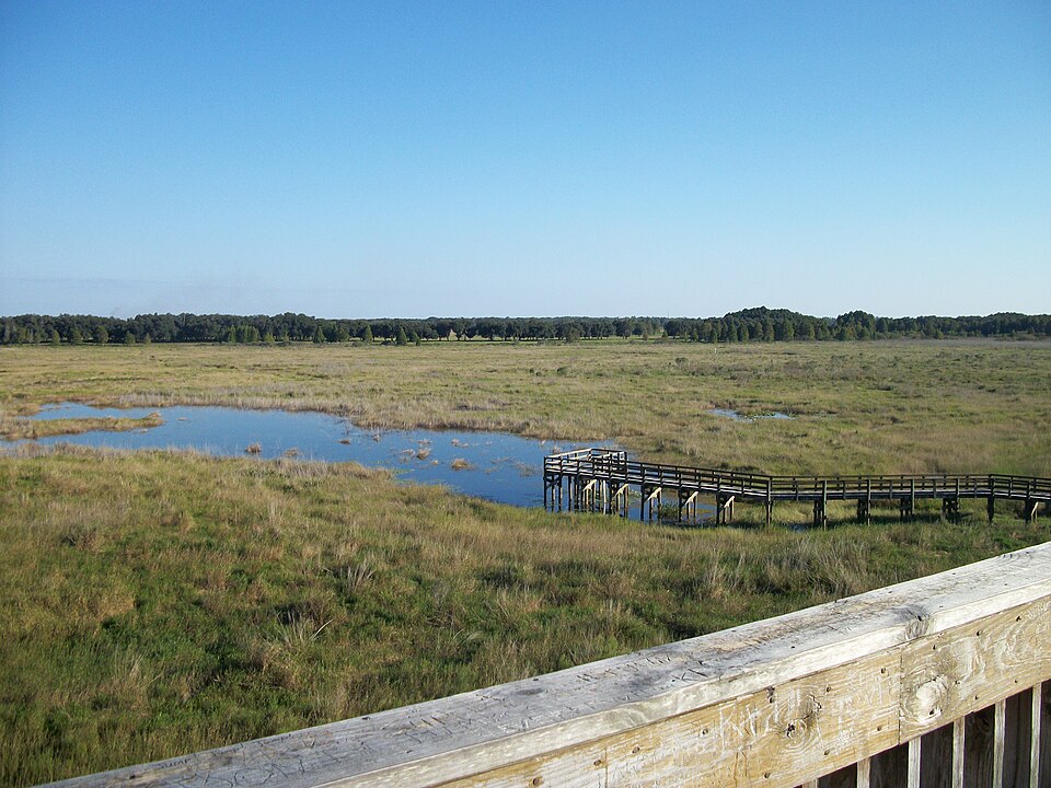 Crews Lake Wilderness Park off Shady Hills Road, photographed in 2010