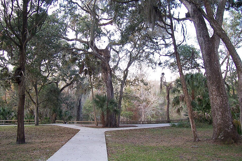 Wooded path at Hillsborough River State Park near Thonotosassa, Florida