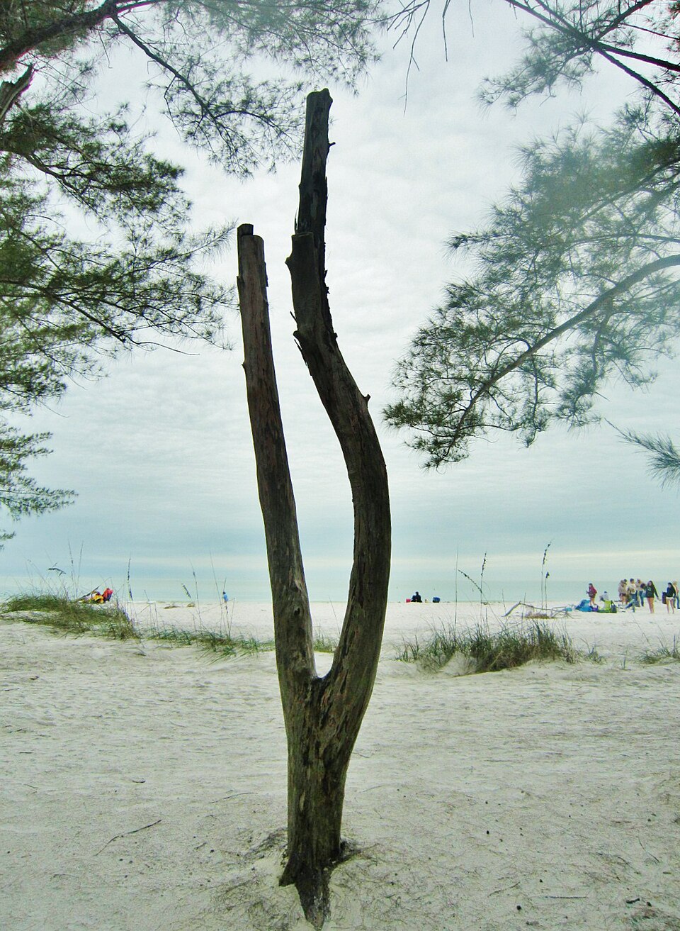 Beach scenery at Fort De Soto Park in Tierra Verde, Florida