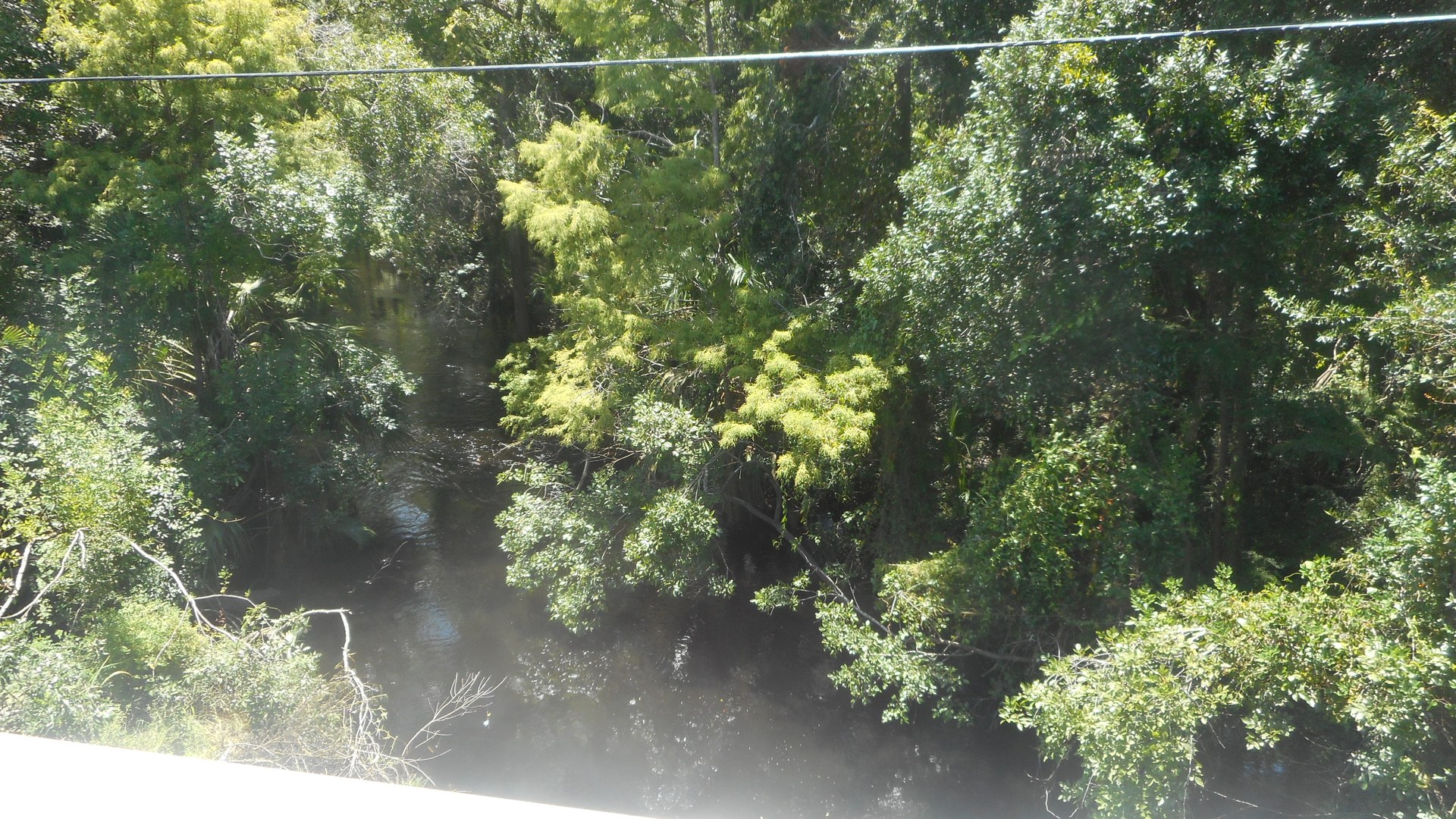Trinity, FL Anclote River at Little Road. Photo DanTD, CC BY-SA 4.0.
